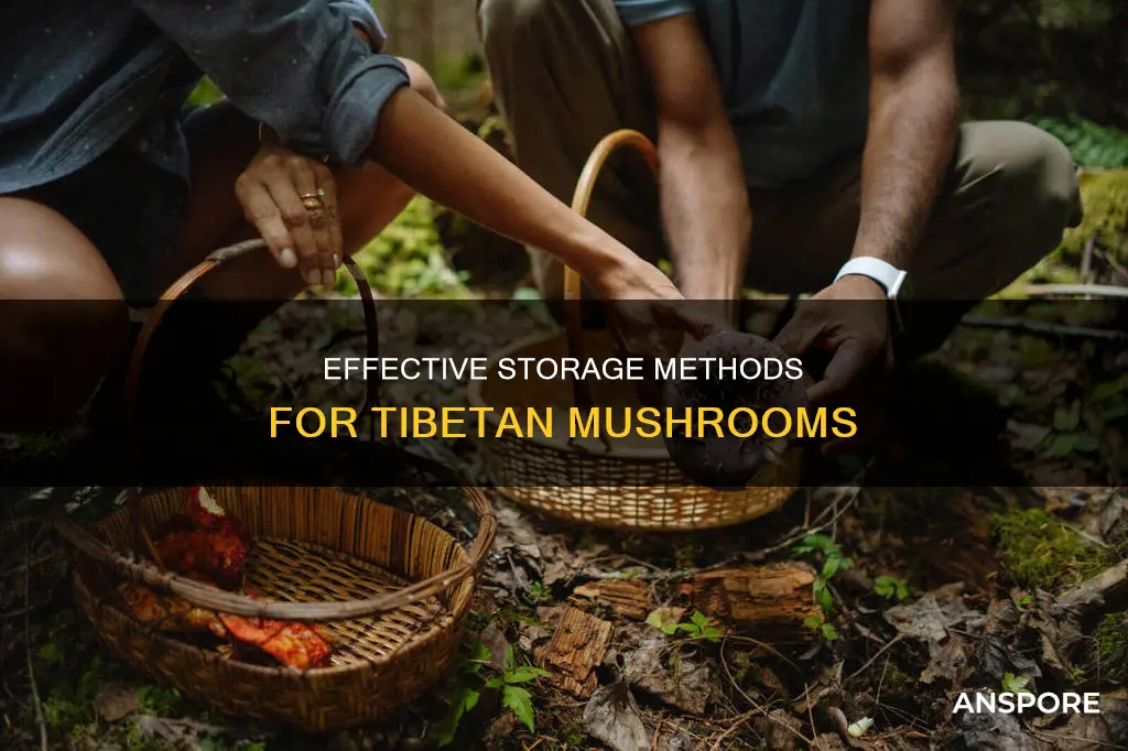 how to store tibetan mushroom