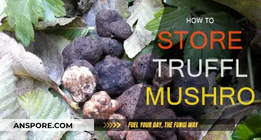 The Ultimate Guide to Storing Truffle Mushrooms
