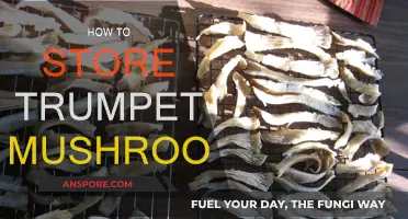 The Best Way to Store Trumpet Mushrooms