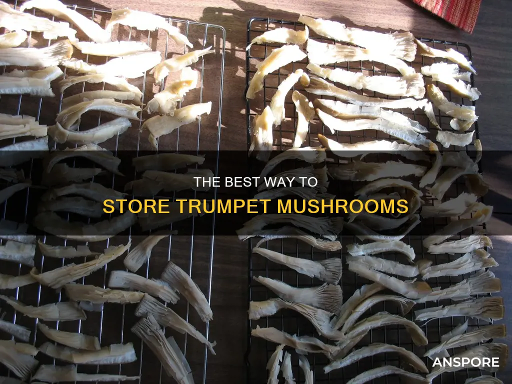 how to store trumpet mushrooms
