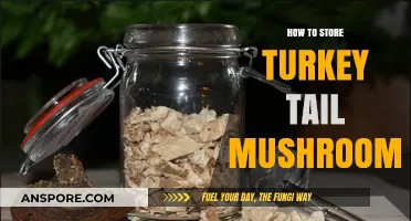 Proper Turkey Tail Mushroom Storage: Tips for Longevity and Potency