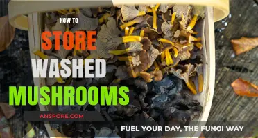 Keep Mushrooms Fresh: Storage Tips After Washing