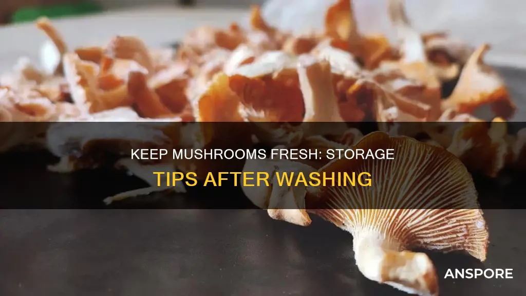 how to store washed mushrooms