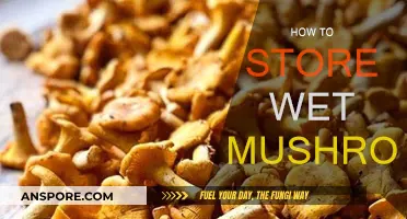Storing Wet Mushrooms: Best Practices and Tips
