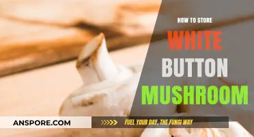 Proper Storage Tips for Fresh White Button Mushrooms at Home
