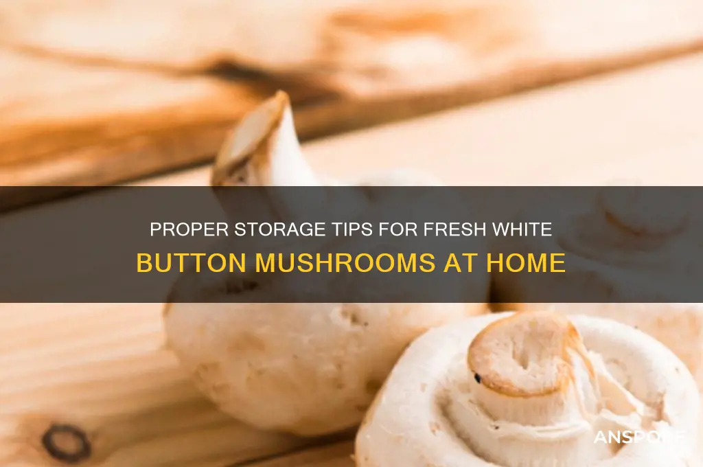 how to store white button mushroom