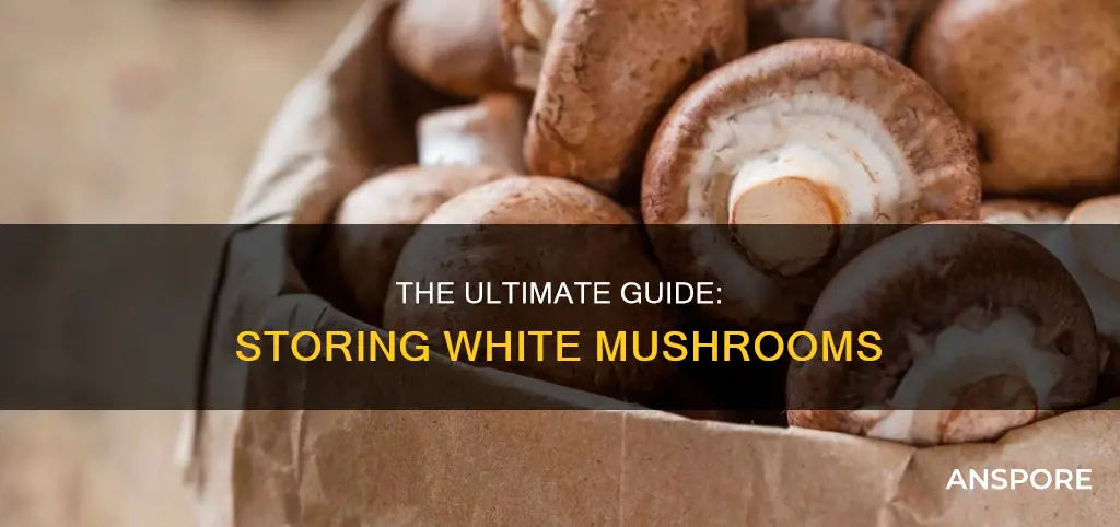 how to store white mushrooms