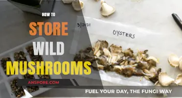 Storing Wild Mushrooms: Tips for Longevity