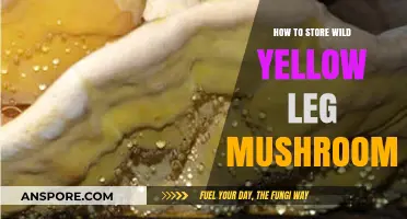 Proper Storage Tips for Wild Yellow Leg Mushrooms: A Guide