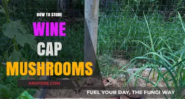 Proper Storage Tips for Preserving Fresh Wine Cap Mushrooms