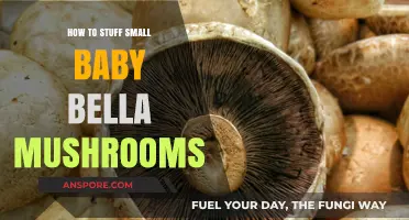 Mastering the Art of Stuffing Small Baby Bella Mushrooms