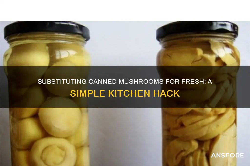 how to substitute canned mushrooms for fresh