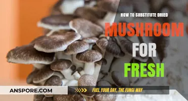 Substituting Dried Mushrooms for Fresh: A Simple Culinary Swap Guide