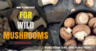 Mastering Mushroom Substitutes: Creative Alternatives for Wild Varieties in Cooking