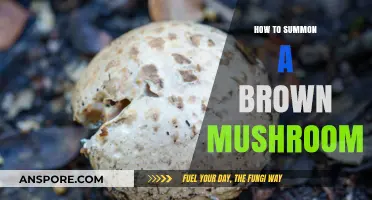 Mystical Guide: Summoning a Brown Mushroom with Simple Steps