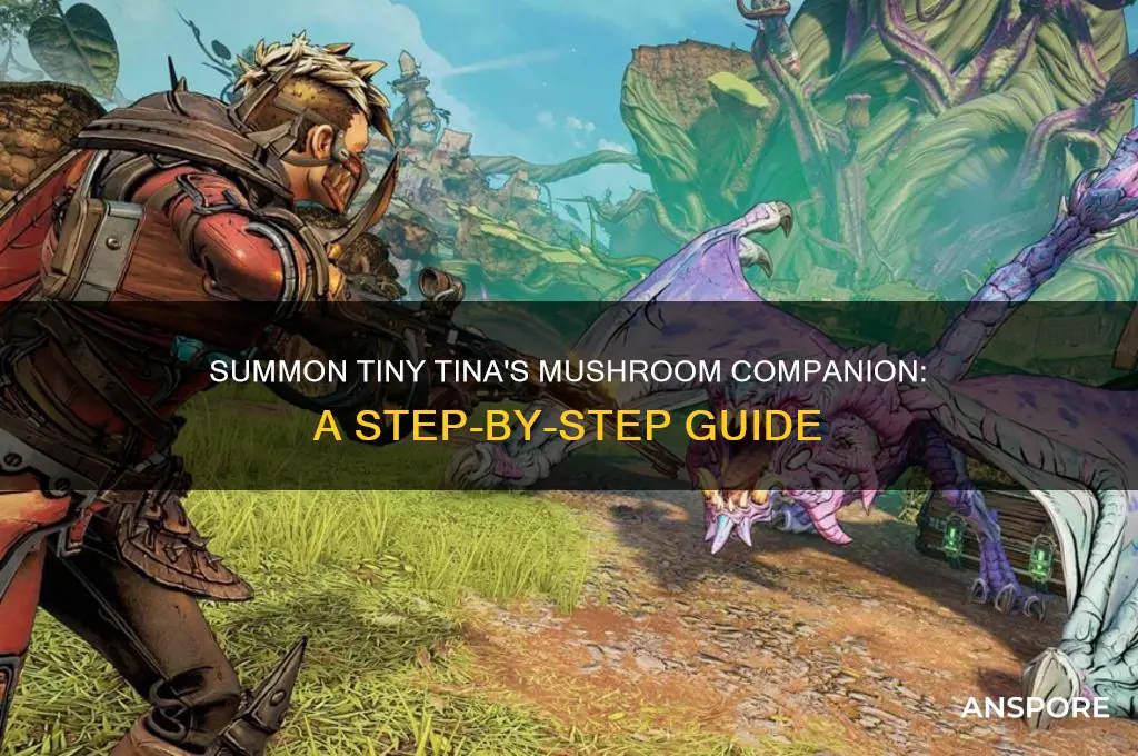 how to summon mushroom companion tiny tina