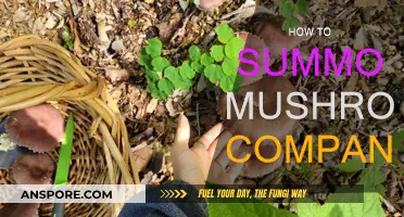 Summoning a Mushroom Companion: A Magical Guide