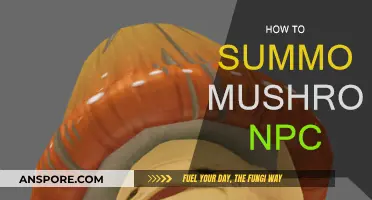 Summoning the Mushroom NPC: A Step-by-Step Guide