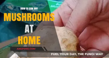 Sun-Drying Mushrooms: A Simple Home Preservation Guide