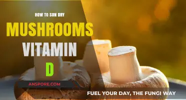Sun-Drying Mushrooms for Vitamin D: A Simple DIY Guide