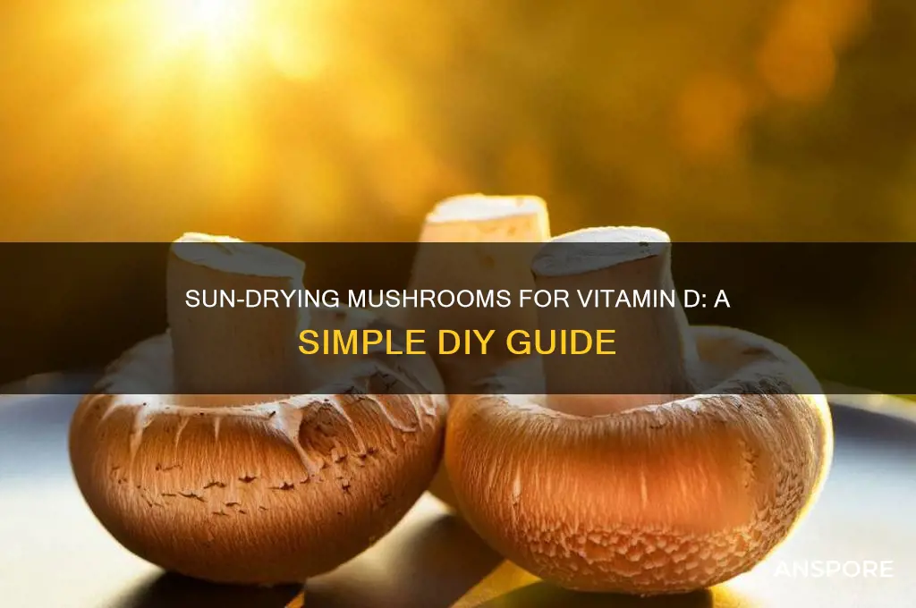 how to sun dry mushrooms vitamin d