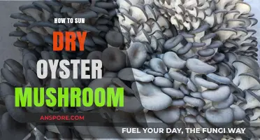 Sun-Drying Oyster Mushrooms: A Simple Guide for Perfect Results