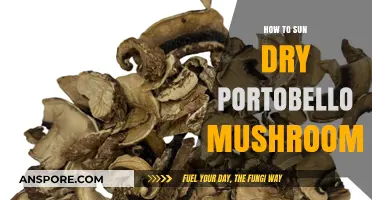 Sun-Drying Portobello Mushrooms: A Simple Guide to Preserving Flavor