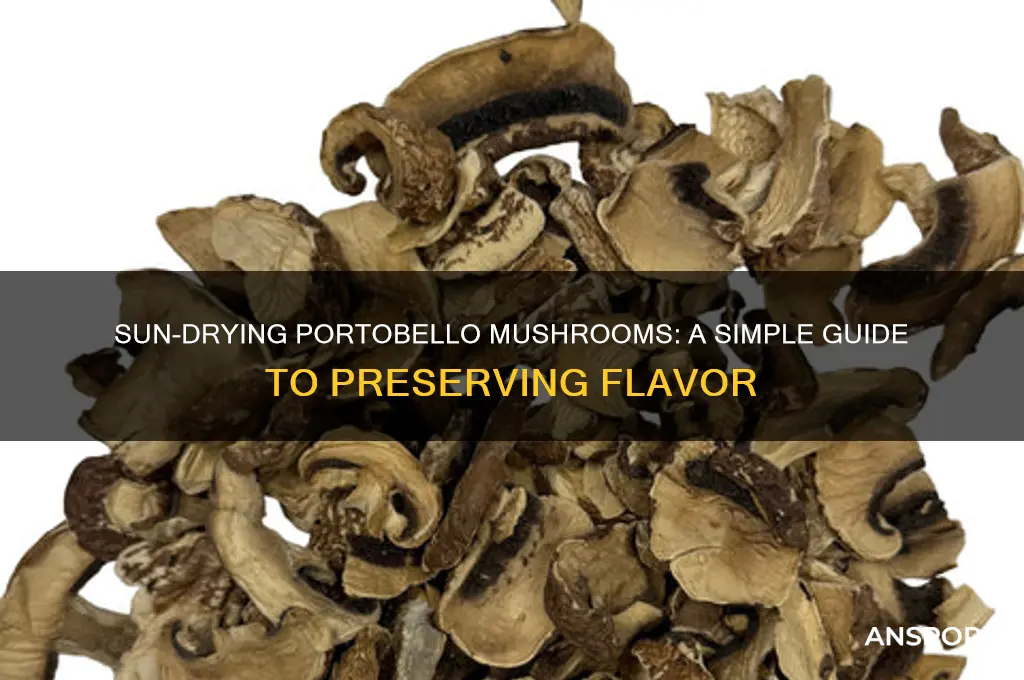 how to sun dry portobello mushrooms