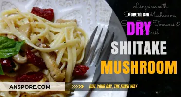 Sun-Drying Shiitake Mushrooms: A Simple Guide to Preserving Flavor