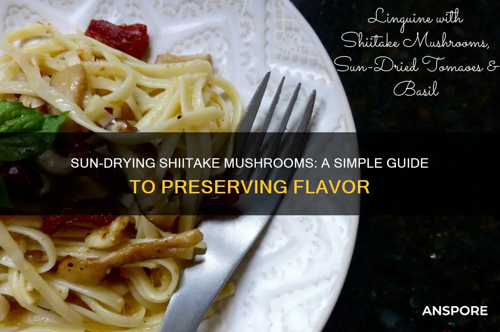 how to sun dry shiitake mushrooms