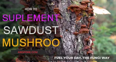 Supplementing Sawdust: A Guide to Mushroom Success