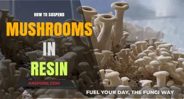 Suspending Mushrooms in Resin: A Step-by-Step Creative Guide
