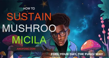 Cultivating Mushroom Mycelium: Sustaining a Healthy Ecosystem