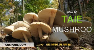 Grow, Pick, and Prepare: Mushroom Cultivation and Cooking