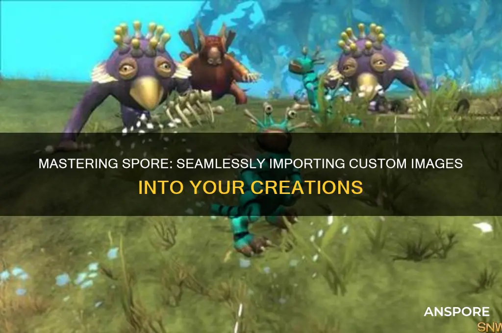 how to take a image and put it on spore