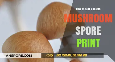 Mastering the Art of Capturing Magic Mushroom Spore Prints