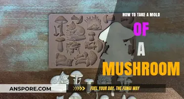 Mastering Mushroom Molds: A Step-by-Step Guide to Capturing Nature's Art