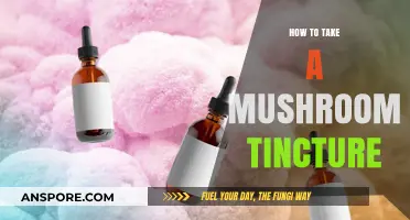 Mastering Mushroom Tinctures: A Simple Guide to Effective Dosage