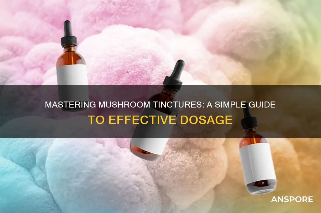 how to take a mushroom tincture