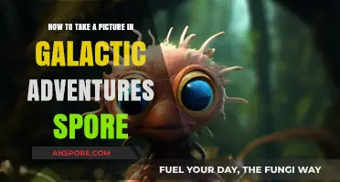 Mastering Galactic Photography: Tips for Capturing Stunning Spore Adventures