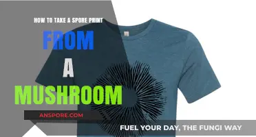 Mastering Mushroom Identification: A Step-by-Step Guide to Taking Spore Prints