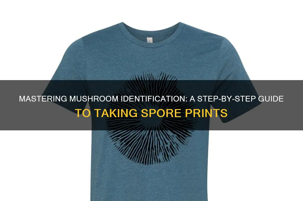 how to take a spore print from a mushroom