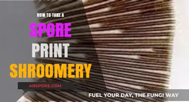 Mastering Spore Prints: A Shroomery Guide for Mushroom Identification