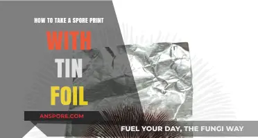 Easy Spore Print Guide: Using Tin Foil for Accurate Mushroom Identification