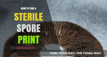 Mastering Sterile Spore Prints: A Step-by-Step Guide for Beginners