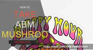 A Beginner's Guide to Taking ABM Mushrooms