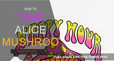 Tripping on Shrooms: A Guide to Taking Alice Mushrooms