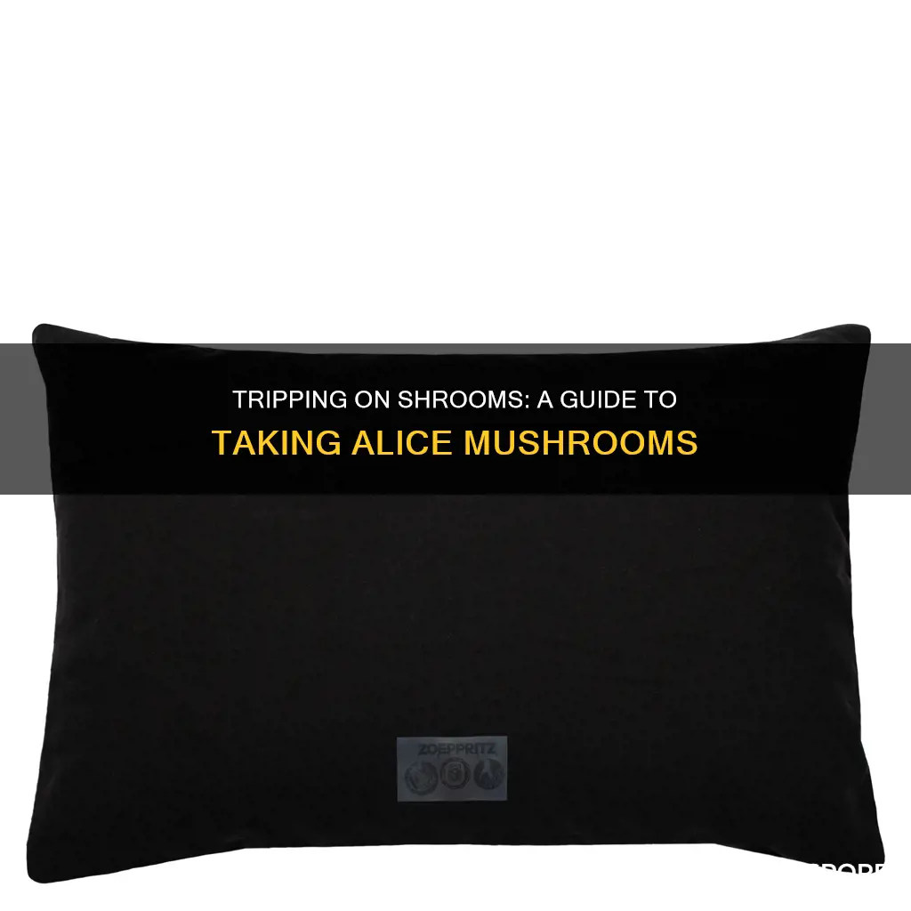 how to take alice mushrooms