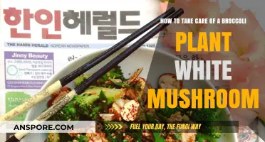 Caring for Broccoli Plants and White Mushrooms: A Comprehensive Guide