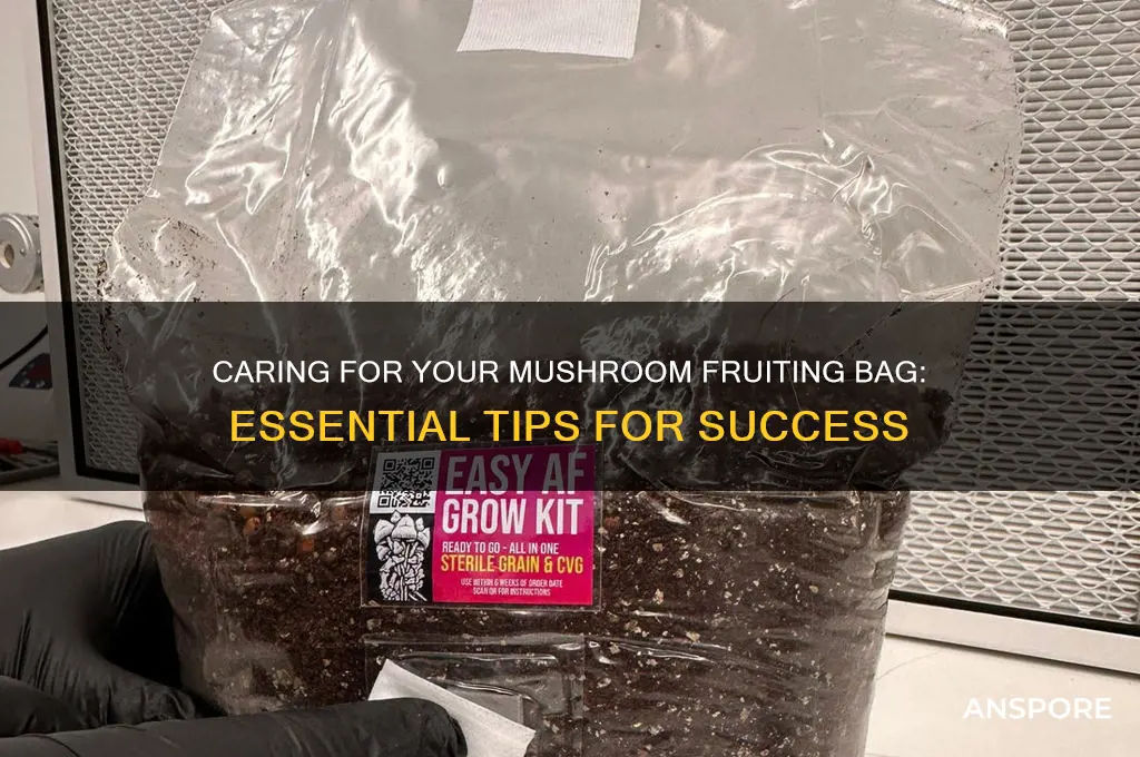 how to take care of mushroom fruiting bag